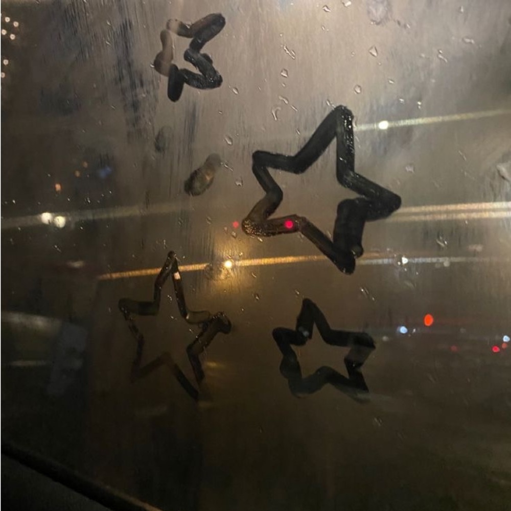 Meet your Posher, Bella